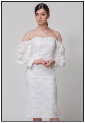 Шикарна сукня зі спущеними рукавами