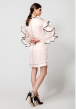 Напівпрозора сукня з органзи з воланами